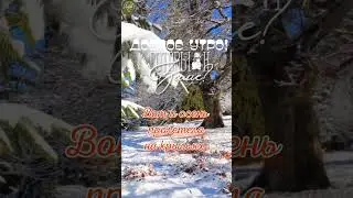 Доброе утро, а Вы готовы к зиме?