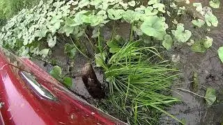 ЕДЕМ НА КОП 