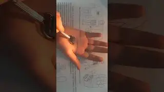 Су джок Семянотерапия🌿🌱☘ при диарее. 