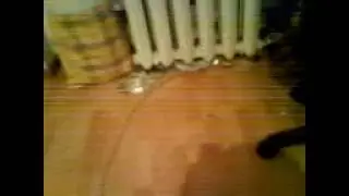 Смотреть всем! Язь вернулся