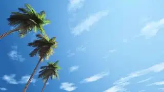 Animation Video