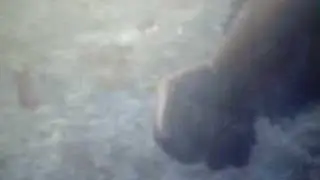 tekken 5