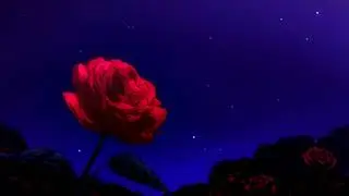 марсель - предубеждение и гордость (slowed n reverb)