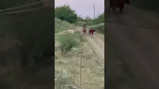 Фаворит ❤️