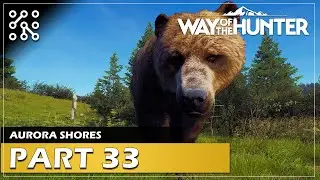Lov na mědvěda | Way of the hunter  |  Česky