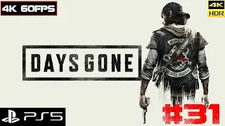 DAYS GONE - Жизнь после [4k 60fps HDR] (PS5) #31 - Дедушка Байкер и его жизнь после