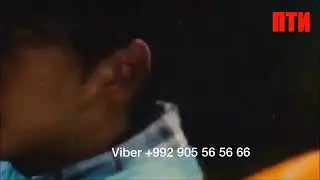 😮😮ДОГИ ДЕЛАМ, КЛИП☹☹