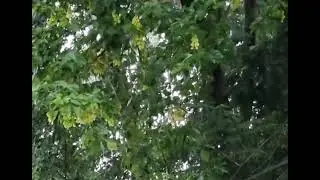DTE, we have a problem, the wires are arcing