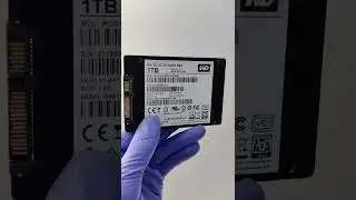 WD Blue 1TB SSD | BEST VALUE in 2022 