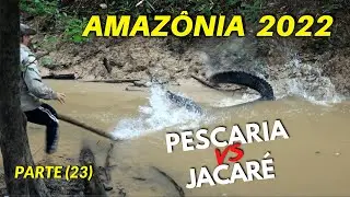 BACK TO MANGUEIRA COMMUNITY (Part 23) FISHING VS JACARÉ - AMAZON
