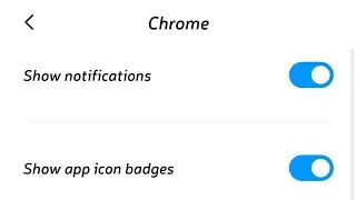 How to disable the default browser notification