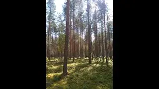 Практика освобождения