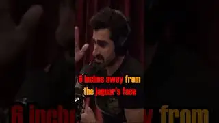JOE ROGAN - THE DANGERS OF THE AMAZON RAINFOREST! 