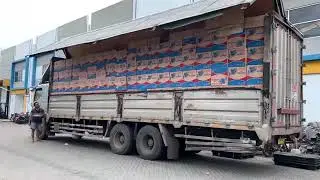 Supplier Grosir, Distributor, Importir Barang Unik China dan Perabot Peralatan Rumah Tangga Termurah