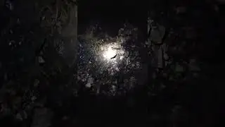Thunderstorm filling our pond