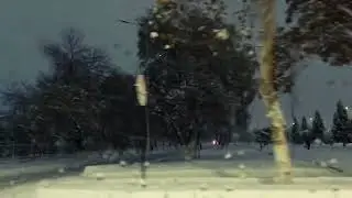 Ноябрь 2020 г. Неожиданный красивый снегопад...