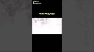Человек охота