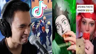 The My Hero Academia Fandom is a Cult (MHA Cringe)