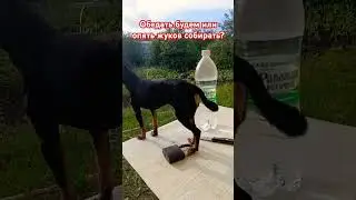 9 июля 2024 г.