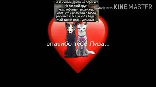 Клип лучшая подруга чит описание.