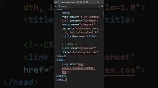 Grayscale Hover Effect | CSS Tutorial 