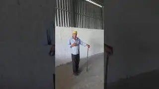 babacu