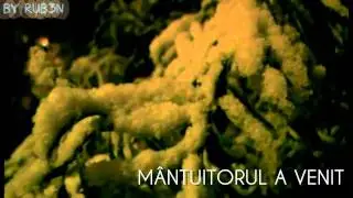 Ami si Crista - Pruncul S-a nascut (live)