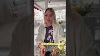 Сколько стоит жить в Торревьехе?