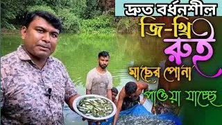 কার্প মিশ্র চাষে লাভের জন্য জি থ্রি রুই/g3 rui চায়না সিলভার চাষে দিলে নিশ্চিত লাভবান হবে খামারি।