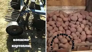 Копаємо картоплю мінітрактором,мої сільські будні