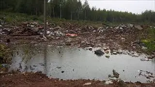 Свалка вдоль дороги Бородули-Гудыри. Верещагинский район Пермский край.