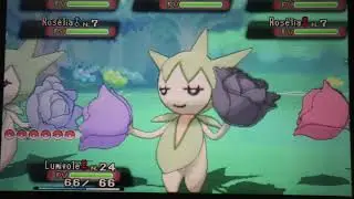 94☆ Rosélia Chromatique / Shiny Roselia en 517 rencontres