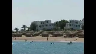 RED SEA SPORTS