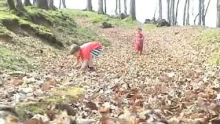 Harry and Charlie - Running in the Leaves