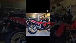 SUZUKI RG500 GAMMA Walter Wolf
