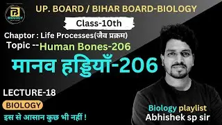 Human Bones-206 | Human Bone Structure With Name | @Abhishekspsir