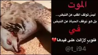 موقف مؤلم جدا مع موسيقى حزينة ابكت العالم