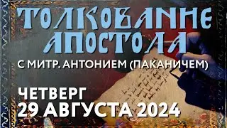 Четверг, 29 августа 2024 года. Толкование Апостола с митр. Антонием (Паканичем).
