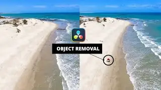 Object Removal DaVinci Resolve 18.5