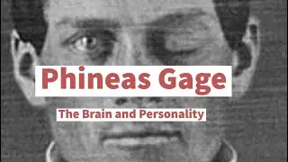 Phineas Gage: a case study