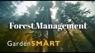 GardenSMART Tips, Forest Management