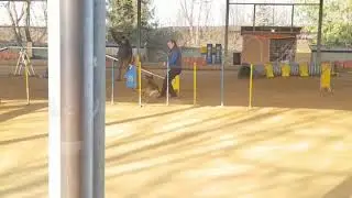 2020.02.09 - Agility 2 GARU
