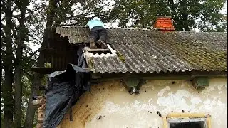 Я твой дом труба качал