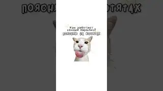 How does sleep paralysis work?