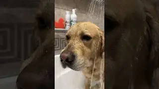 Я так и не понял что случилось?😂