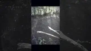 Река Шлюба... Коп по Войне. Осень. 