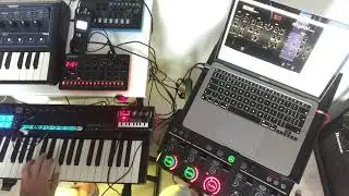 Amazing ambient reverb on Korg NTS-1 presets Korg editor Mac!!!