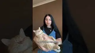Если у тебя есть хейтеры, значит ты на правильном пути😉 #cat #рыжийкот #кот #питомцы #котики #котик