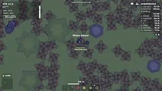 moomoo.io atm client gameplay #1 script (real) auto pvp #1 heal mevlana dance danser