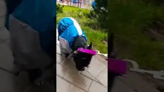 И в любую погоду нужно гулять, даже если совсем не хочется)))